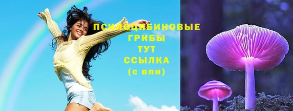 соль курить ск Ельня