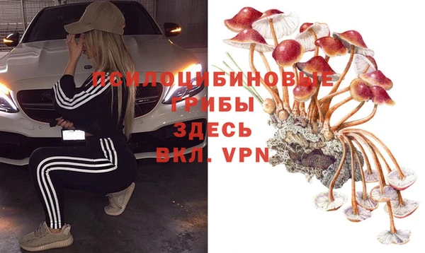 таблы Дмитров