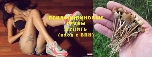 соль курить ск Ельня