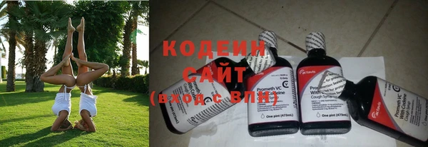 хмурый Елабуга