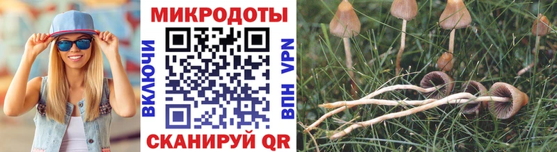 Псилоцибиновые грибы мухоморы  Каменск-Уральский 